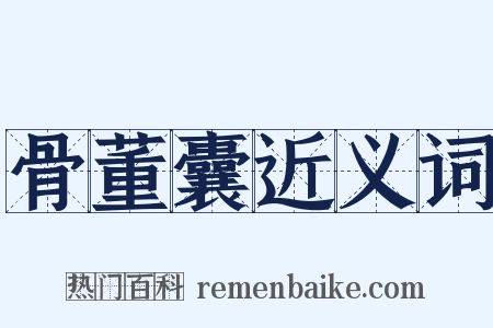 骨董囊近义词是什么意思的图片